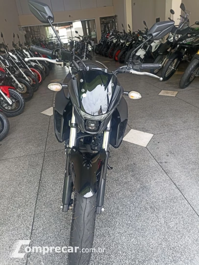 FZ25 250 FAZER FLEX