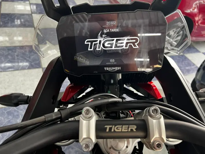 TIGER 900 GT PRO