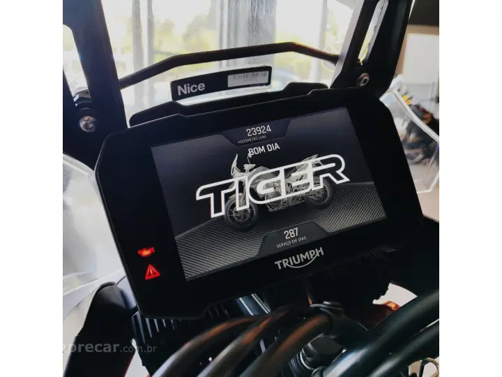 TIGER 900 GT PRO