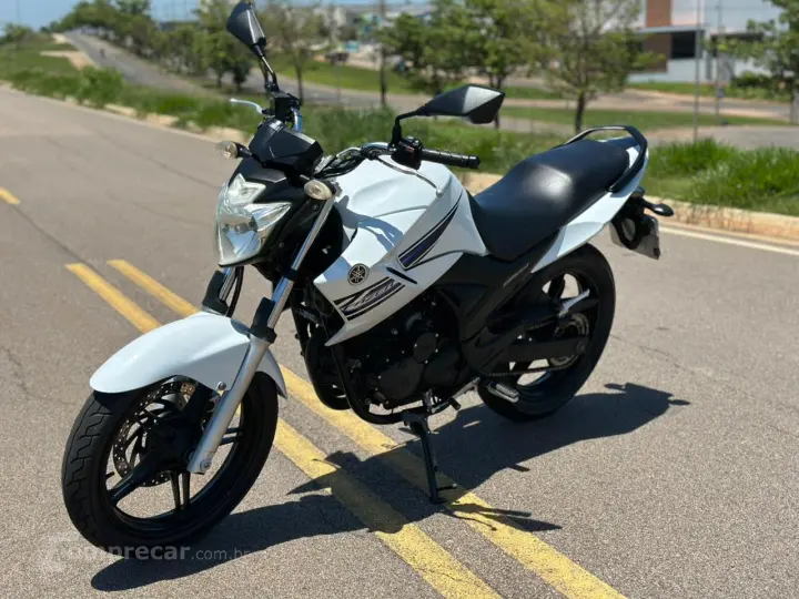 YS 250 FAZER BLUEFLEX