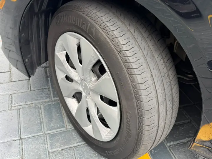 208 1.0 Firefly Like