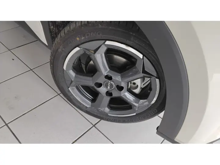 DOLPHIN MINI 38 KW ELÉTRICO