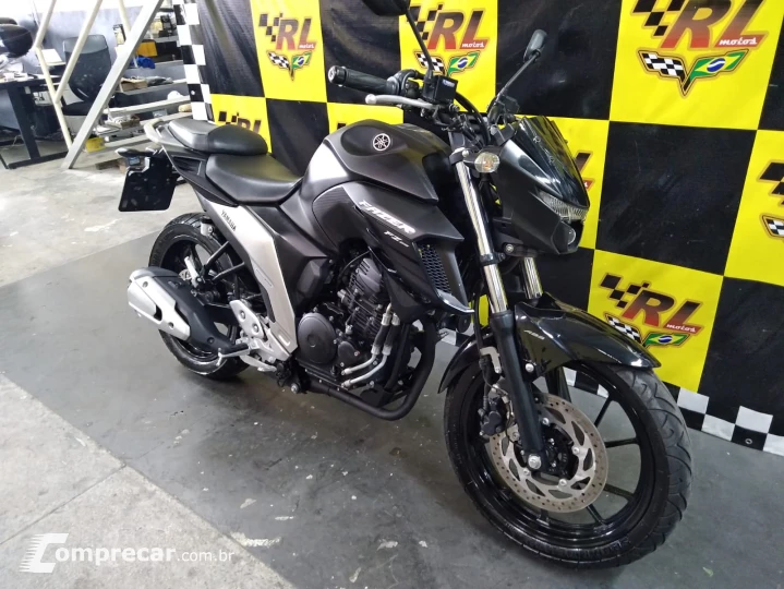 FZ25 fazer 250