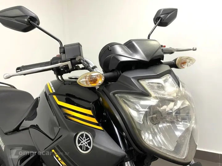 YAMAHA FAZER YS 250
