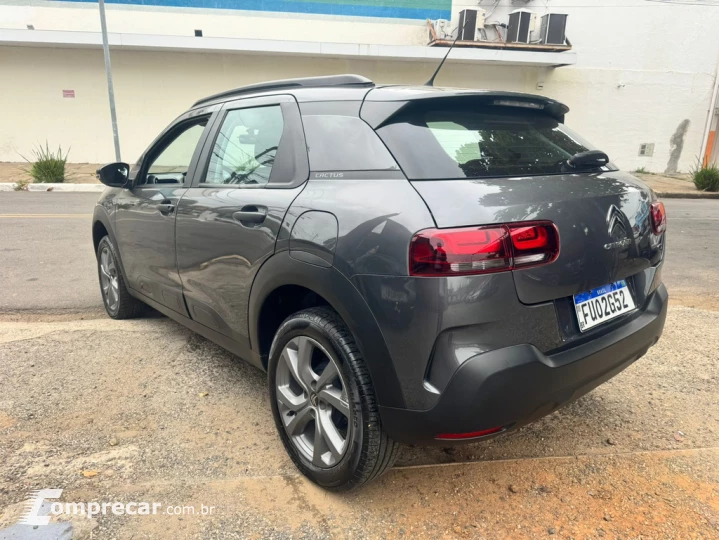 C4 Cactus