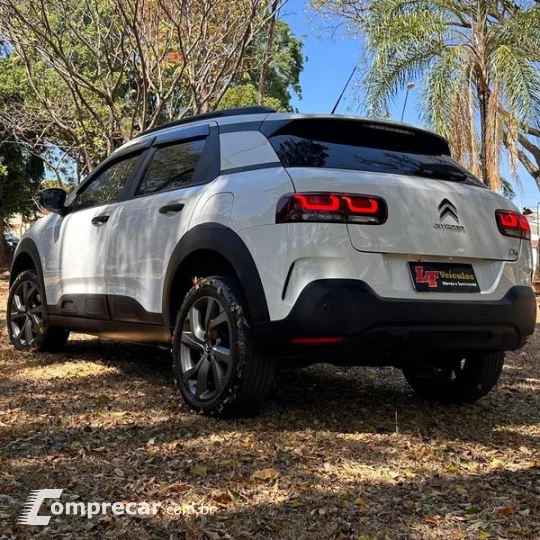 C4 CACTUS FEEL AT