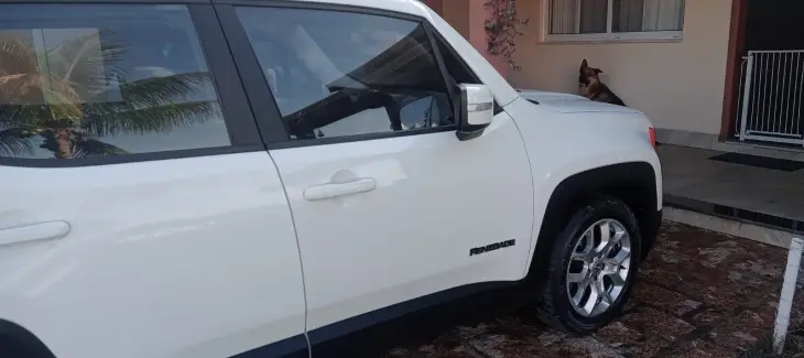 RENEGADE 1.8 16V Longitude