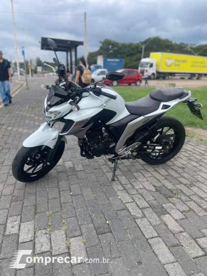 FZ 250