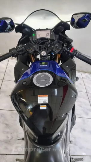 YZF R3 MONSTER