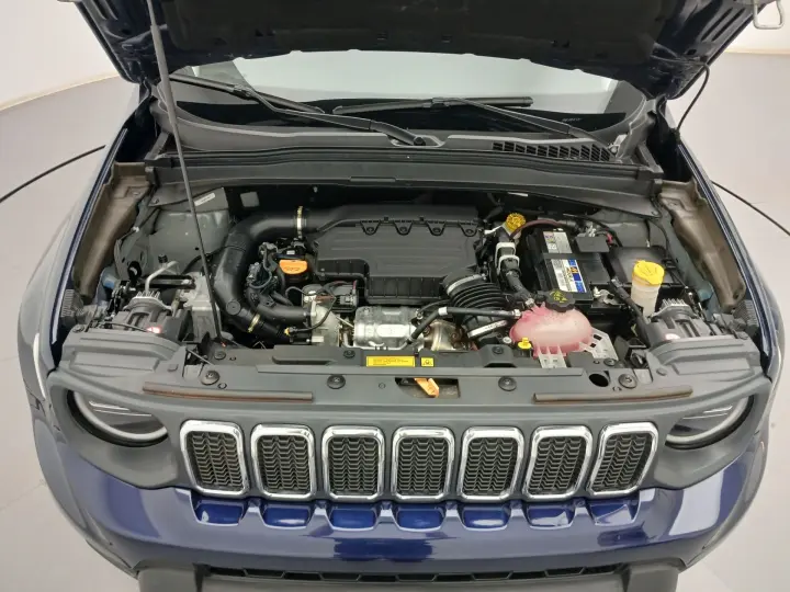 RENEGADE 1.3 T270 TURBO FLEX LONGITUDE AT6