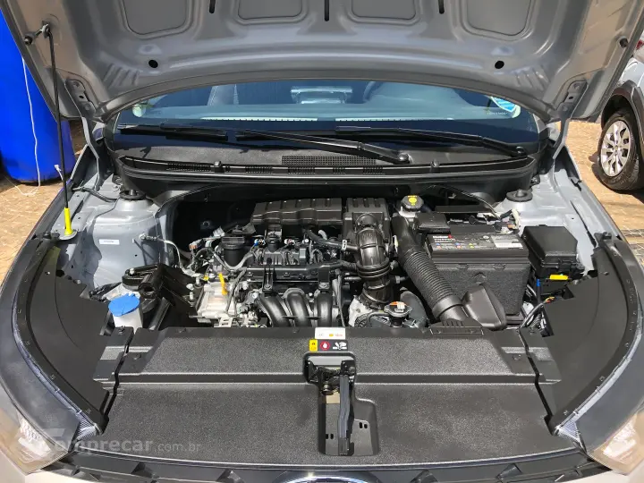 Hb20 1.0 12V Flex Sense Plus Manual