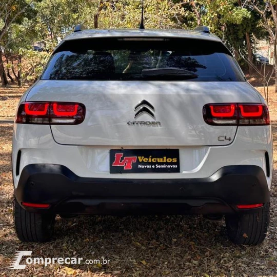 C4 CACTUS FEEL AT