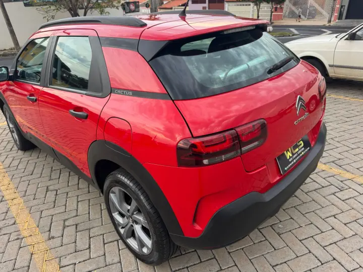 C4 Cactus Feel AT