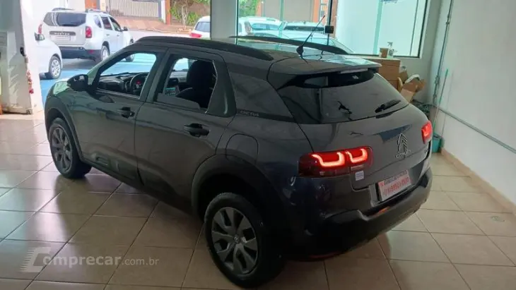 C4 CACTUS FEEL BUSINESS AUT