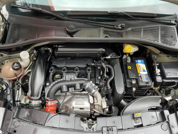 C4 CACTUS 1.6 THP FLEX SHINE EAT6