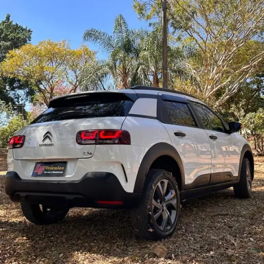 C4 CACTUS FEEL AT