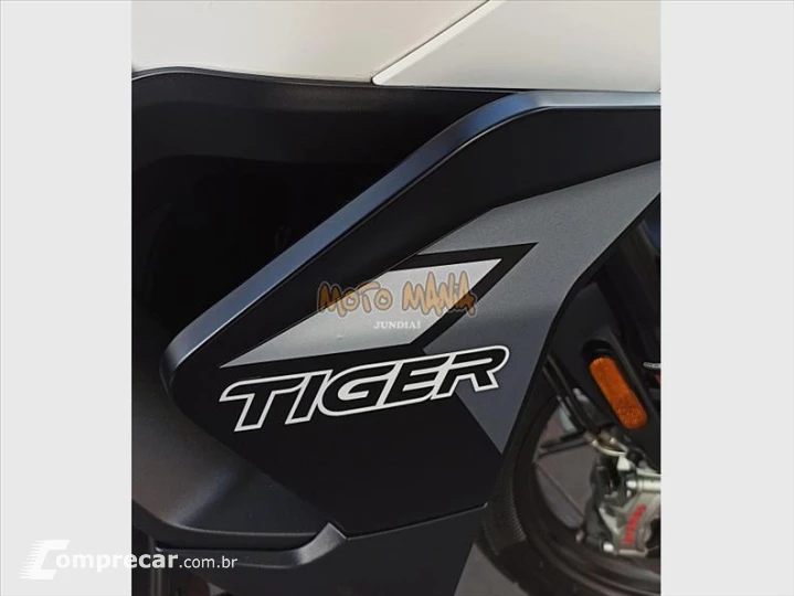 TIGER 900 GT PRO