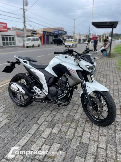 FZ 250