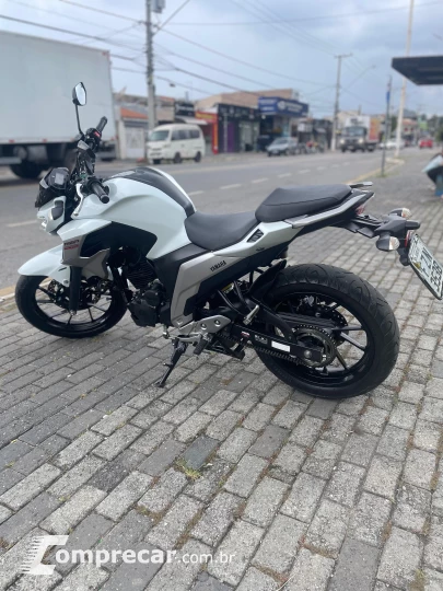 FZ 250