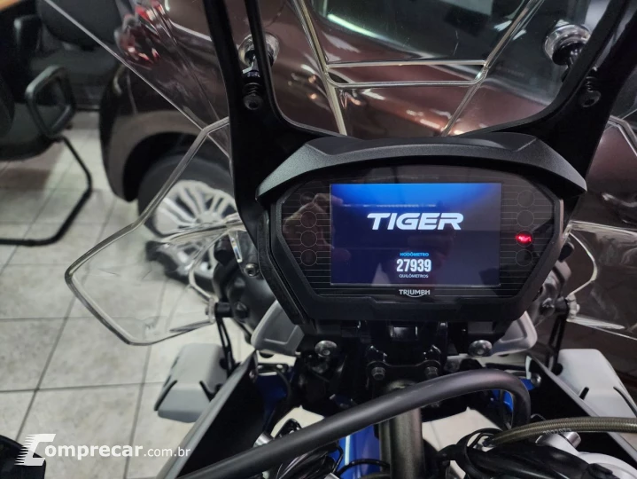 TIGER 800 XRT