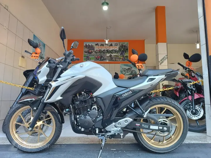 FZ25 FAZER 250