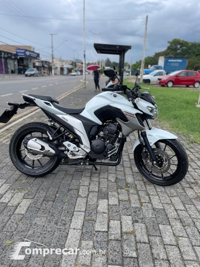 FZ 250