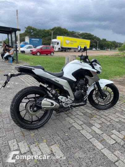 FZ 250