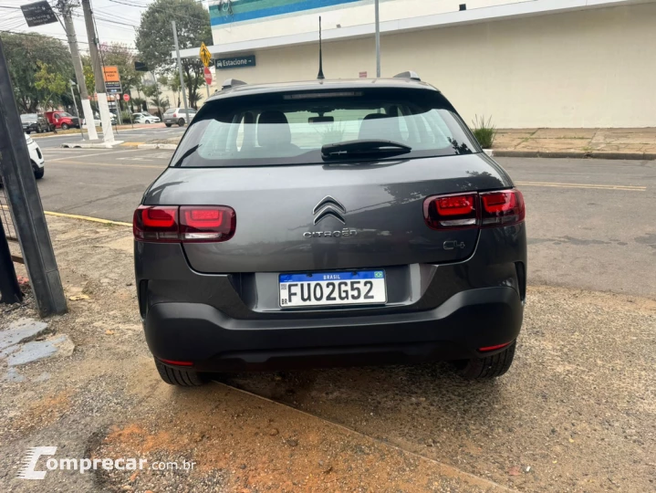 C4 Cactus