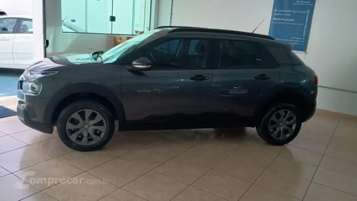 C4 CACTUS FEEL BUSINESS AUT