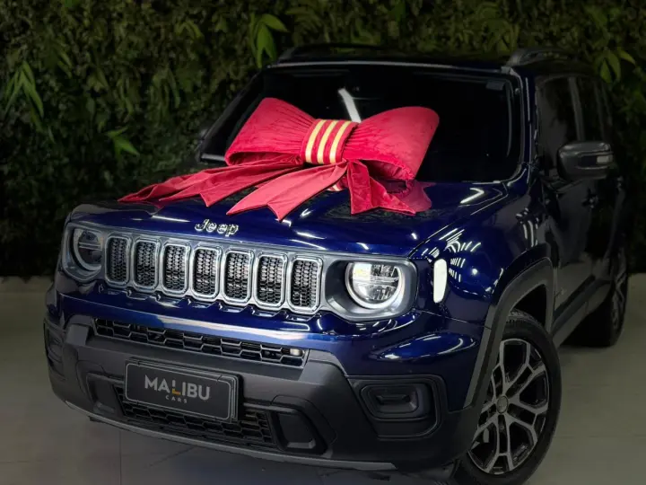 RENEGADE 1.3 T270 Turbo Longitude