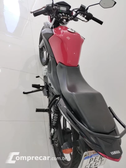 YBR 125 ED FACTOR