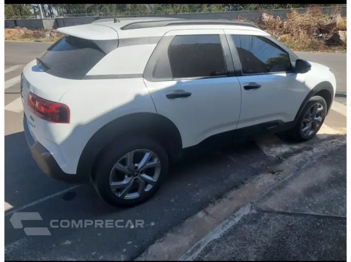 C4 cactus