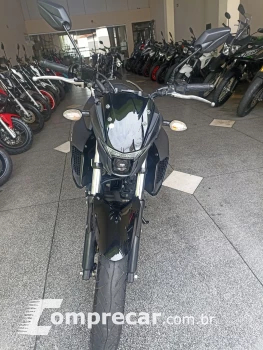 FZ25 250 FAZER FLEX