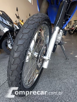 XTZ 250 LANDER 249cc/LANDER BLUEFLEX/ABS