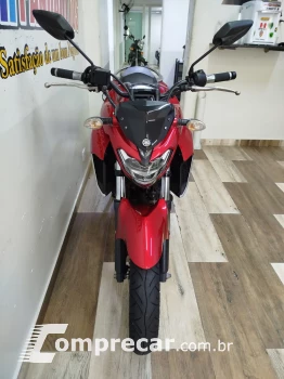 FAZER FZ 25