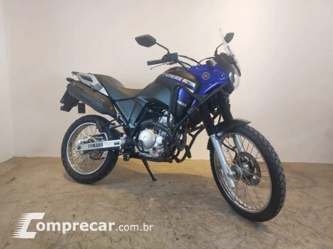 Yamaha YAMAHA XTZ 250 TENERE BLUEFLEX