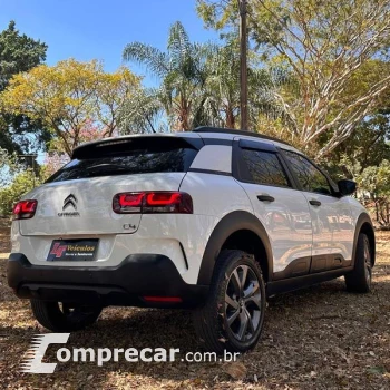 C4 CACTUS FEEL AT