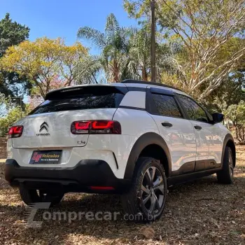 C4 CACTUS FEEL AT
