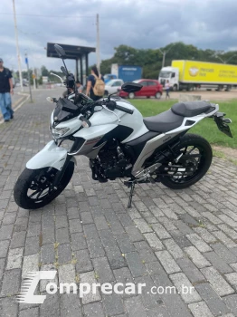 FZ 250