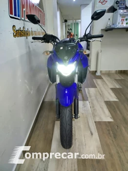 FZ 25 FAZER