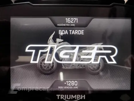 Tiger 900 GT PRO