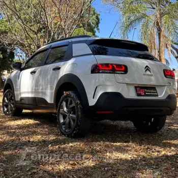 C4 CACTUS FEEL AT