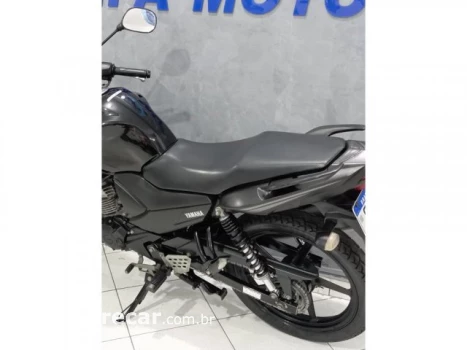 YS 150 FAZER SED - Street