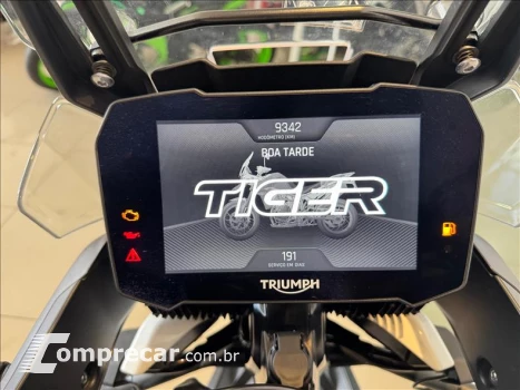 TIGER 900 GT PRO