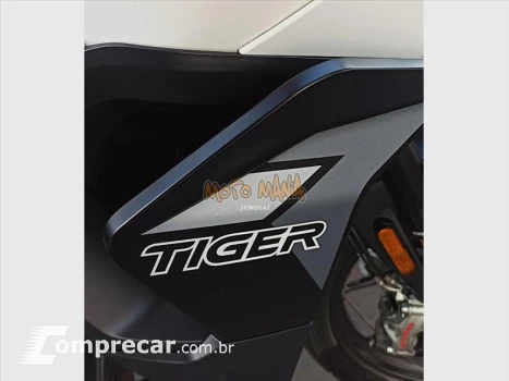 TIGER 900 GT PRO