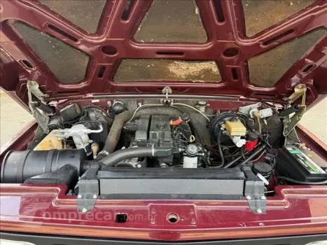 BONANZA 4.0 Custom L 8V