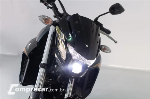 FZ25 FAZER ABS