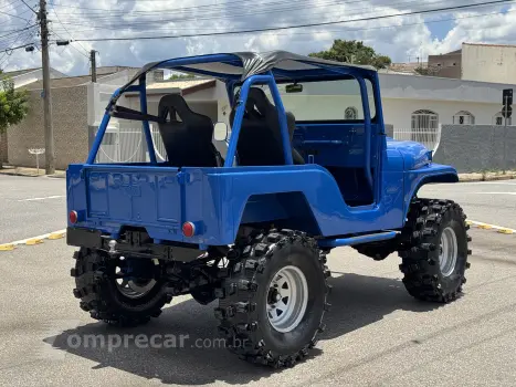 JEEP WILLYS 2.0 AP