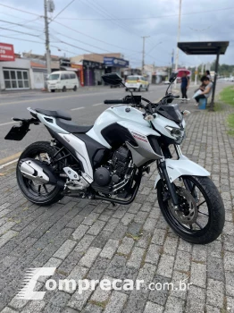 FZ 250