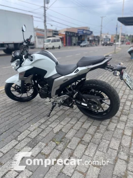 FZ 250